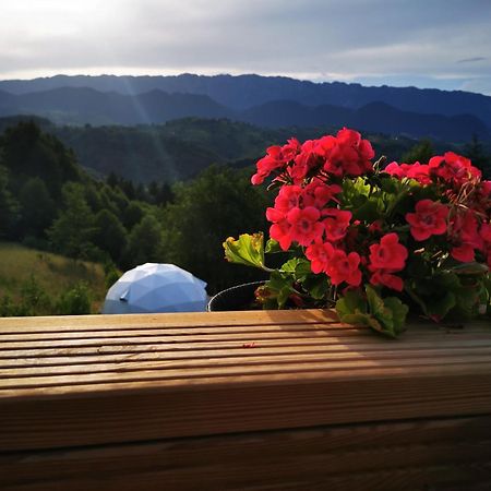 Glamping Zazen Drumu Carului Exterior foto