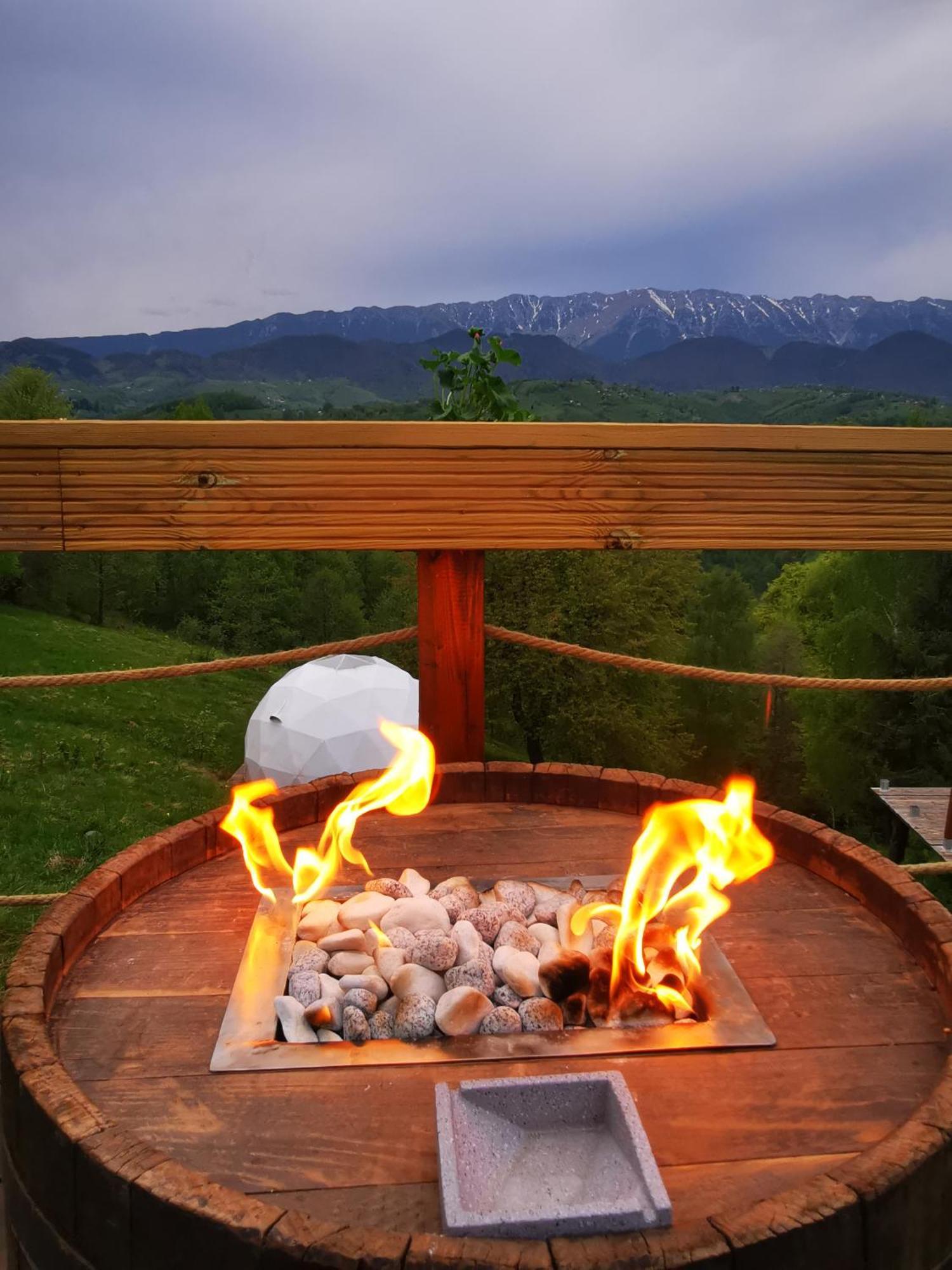 Glamping Zazen Drumu Carului Exterior foto