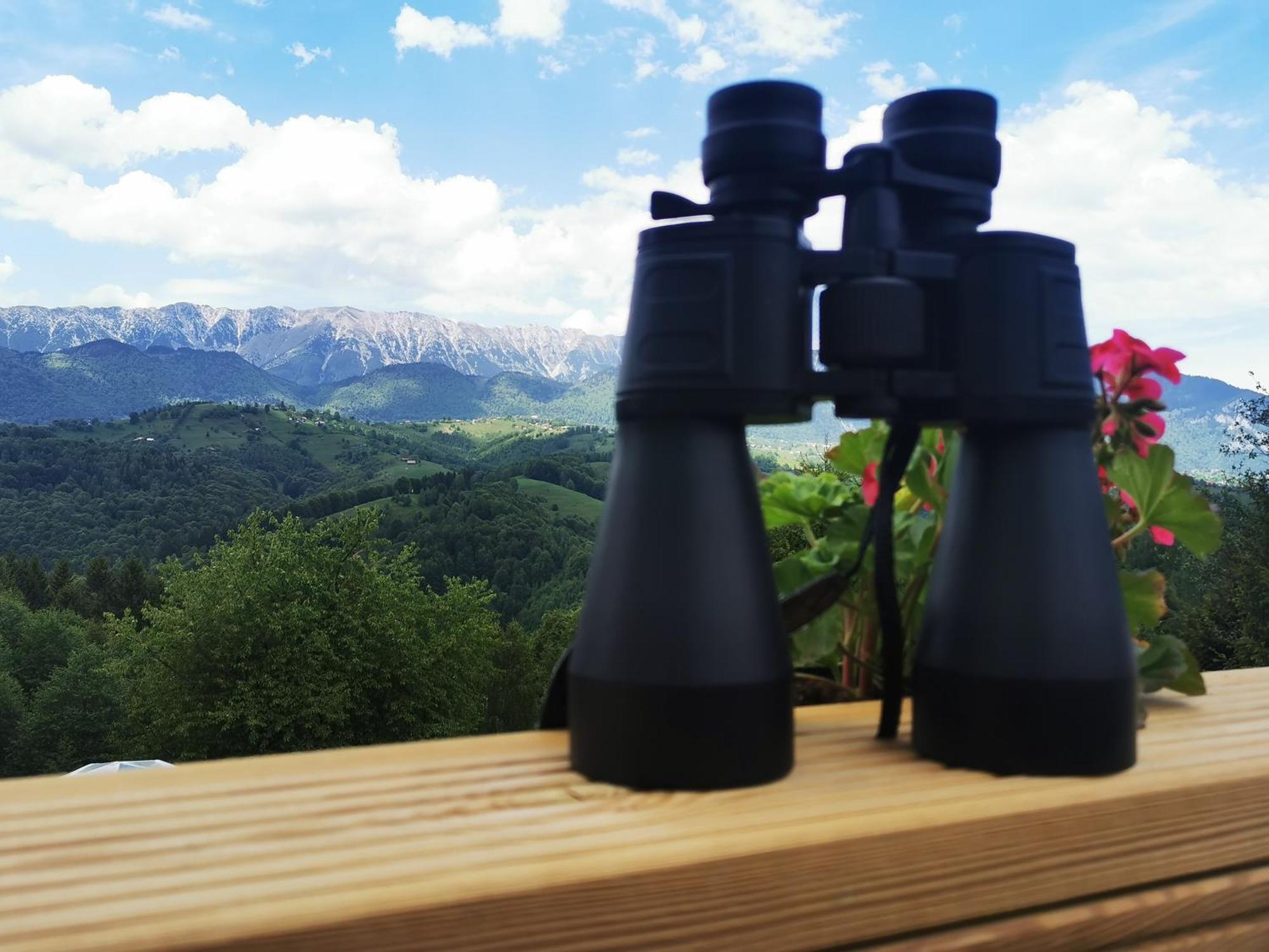 Glamping Zazen Drumu Carului Exterior foto