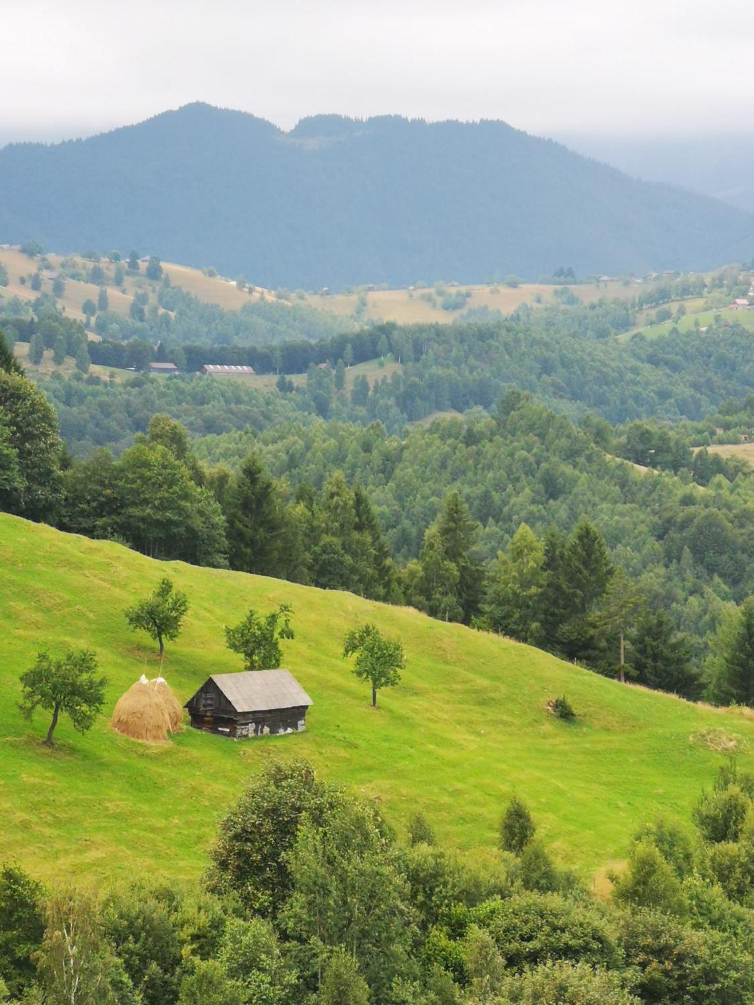 Glamping Zazen Drumu Carului Exterior foto